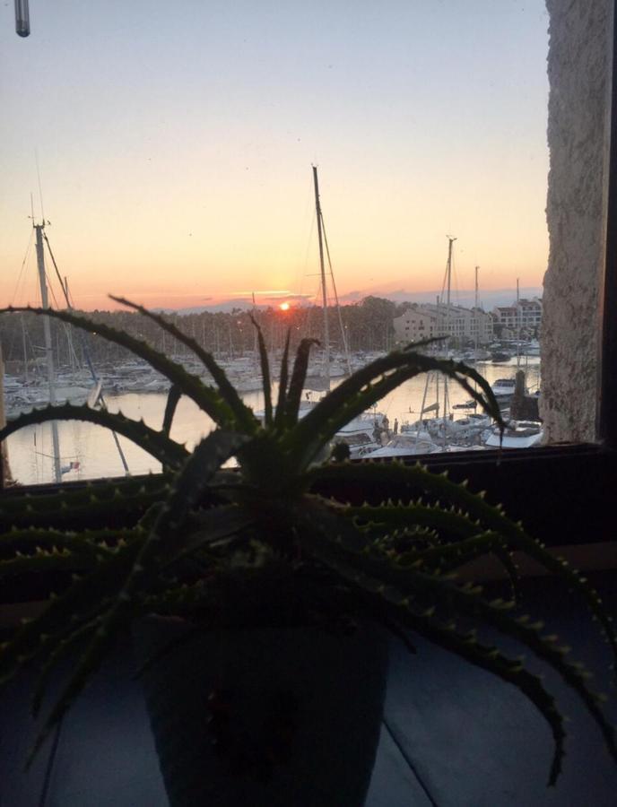 Petit Cocon Magnifique Vue Sur Marina Dans Le Golfe De Saint Tropez Leilighet Cogolin Eksteriør bilde