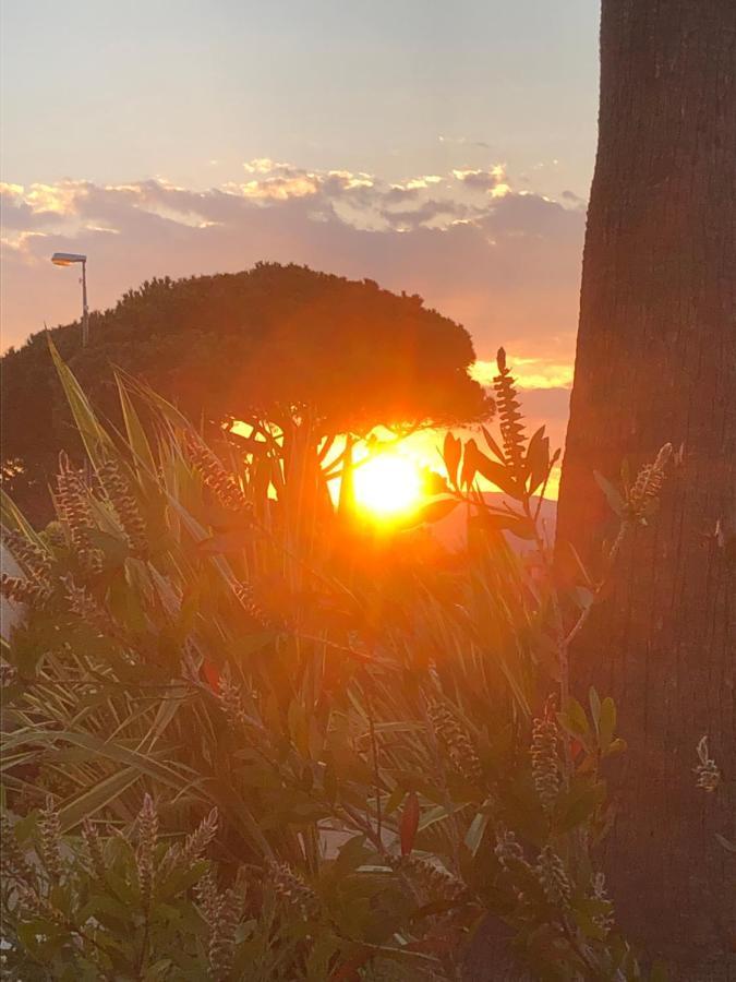 Petit Cocon Magnifique Vue Sur Marina Dans Le Golfe De Saint Tropez Leilighet Cogolin Eksteriør bilde