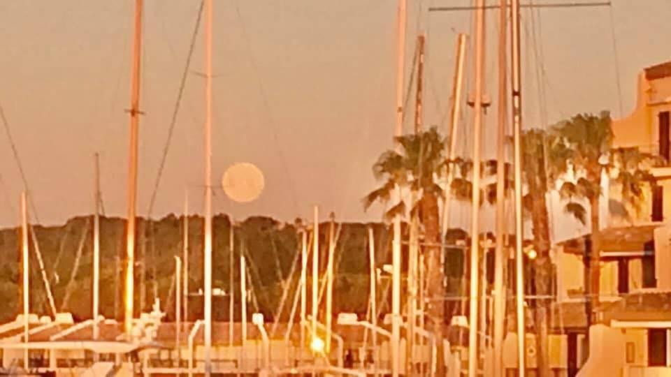 Petit Cocon Magnifique Vue Sur Marina Dans Le Golfe De Saint Tropez Leilighet Cogolin Eksteriør bilde